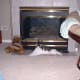 the-odd-creatures-we-call-cats