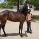 horses-in-india-the-native-marwari-horse