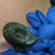 Gary The Snail