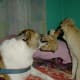 Playtime!