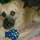 Posing With a Toy