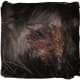 Hot Spot (Lesion): Here is a close-up of the hot spot on my cat. Pretty gross looking, right? This is after it was healing, and I took the cone off (too soon) and kitty licked the area raw (so cone back on).