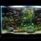 10 Gallon 3D Background