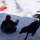 Akila with Jarod having fun in the snow!
