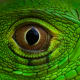 That eye . . .