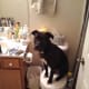 Dakota besluit om op het toilet rond te hangen.