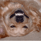 Beautiful "smile"!