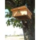 This is my upside-down suet feeder.