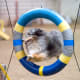 Tire Jump (Photo 5)