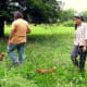 A chicken tractor with gate
