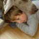 But Weimaraners also love kids who act as pillows!