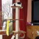 cat-interactive-feeder-toys
