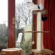 cat-interactive-feeder-toys