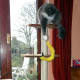 cat-interactive-feeder-toys