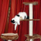 cat-interactive-feeder-toys