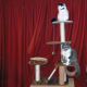 cat-interactive-feeder-toys