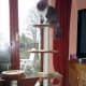 cat-interactive-feeder-toys