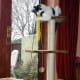 cat-interactive-feeder-toys