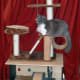 cat-interactive-feeder-toys