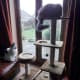cat-interactive-feeder-toys
