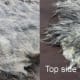 raising-rare-breed-sheep