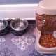 Providing a clean area for your cats to eat and drink will be appreciated.