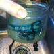 Soak a cloth dog collar, or bandana in the diluted lemon juice for a few minutes.