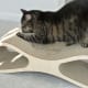 Sprinkle a small amount of catnip on your cat's scratcher and he or she will be more likely to use it.