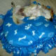 Sweet dreams!
