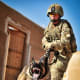 The US Army uses several breeds, but the German Shepherd Dog is the most popular.