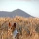 Basenji are known for jumping up and down in place to spot game--this is probably why.
