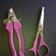 Bull-nosed scissors and nail clippers.