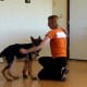 German shepherd bite inhibition