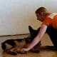 Getting puppy used to gentle handling