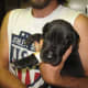 Shylock is doing well now!
