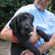 At two months, Shylock is big and healthy. He weighs 25 pounds!