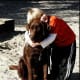 One reason Labs are so popular--they are great with kids.