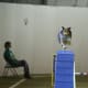 how-does-a-dog-use-its-tail-in-agility-and-canine-sport