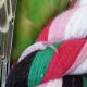 A closer look. Can you see it?