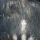 The owners had warned us he was out of condition, but we were saddened to see his tail and rump rubbed clean of hair.