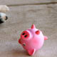 After a good romp with the pink pig, Molly crashes.