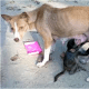 They know how to care.