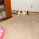Scoping out the living room