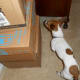 Oh, I think there is one on the box!