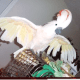 Muggles spreads her wings.