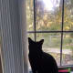 This Is One of My Most Favorites . . . Her Perfect 3-D Silhouette