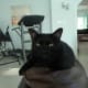 "Okay, okay...go ahead and snap your photo, please!"