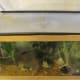 the-many-aquarium-uses-of-plastic-canvas