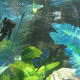 the-many-aquarium-uses-of-plastic-canvas