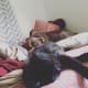 Colby the cat and Moose the dog